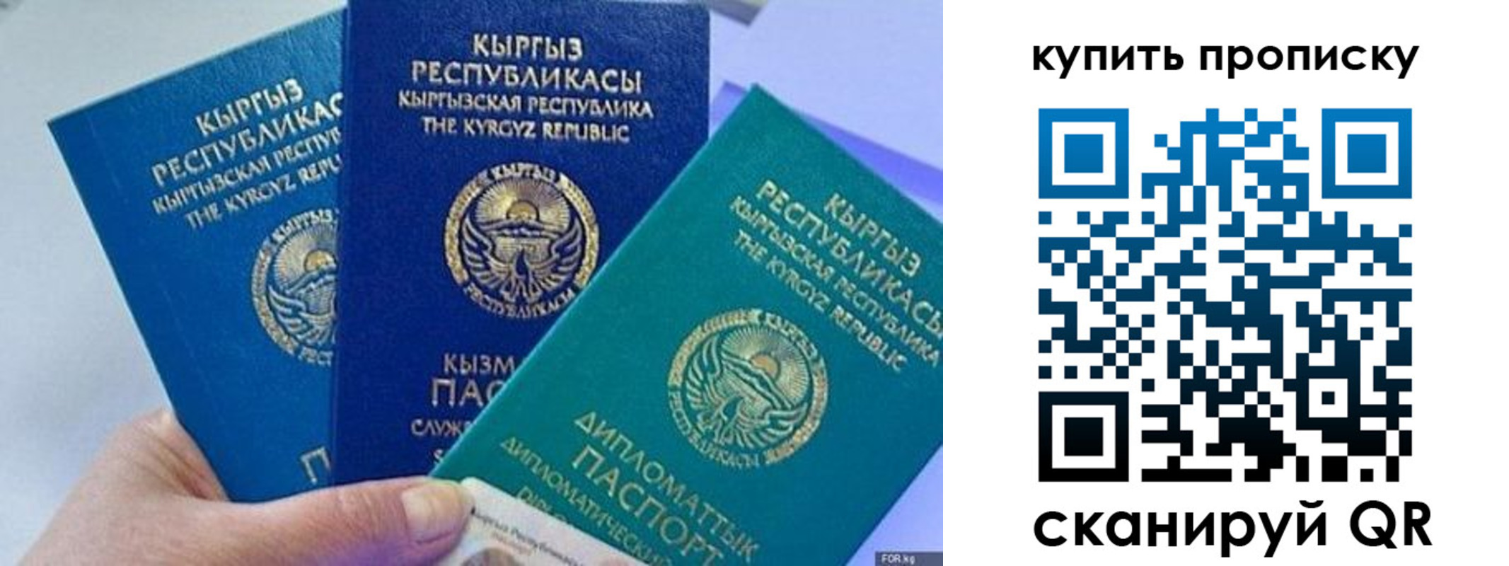 прописка ребенка в Чкаловске